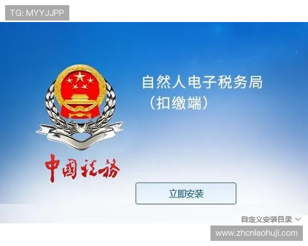 heb电子税务局平台操作指南详解帮助用户快速熟悉使用流程